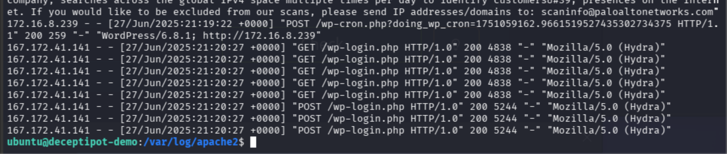 access.log first lines showing brute force attempts